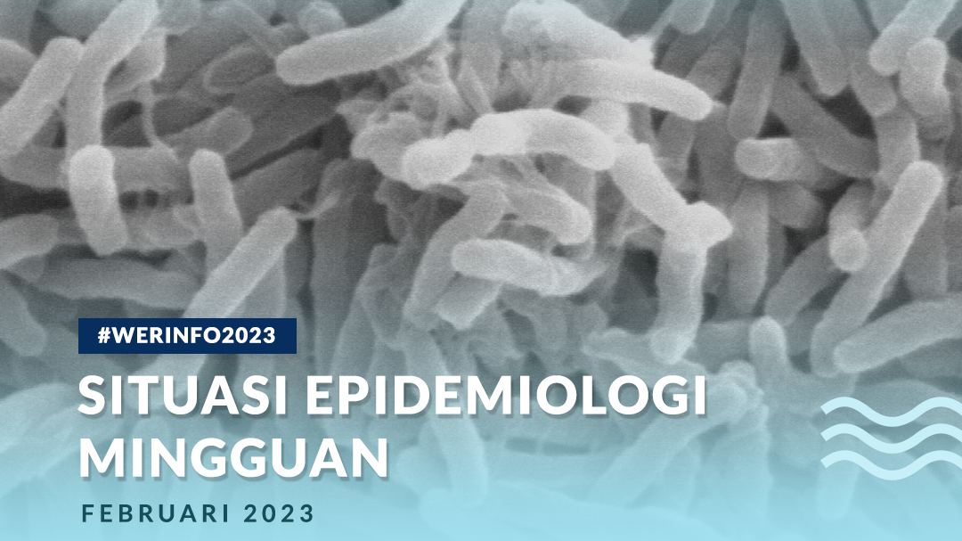 Situasi Epidemiologi Mingguan - Bulan Februari