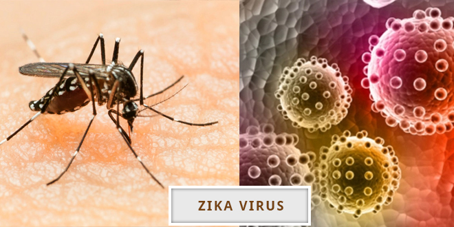 PERTANYAAN SEPUTAR PENYAKIT VIRUS ZIKA